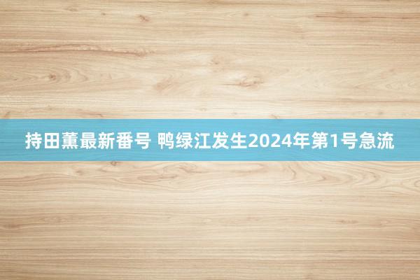 持田薫最新番号 鸭绿江发生2024年第1号急流