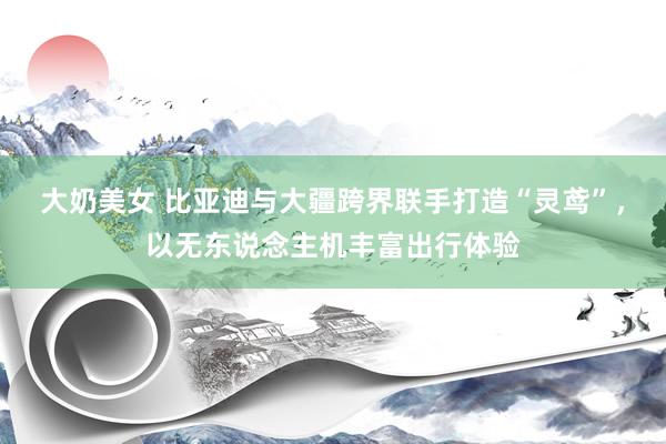 大奶美女 比亚迪与大疆跨界联手打造“灵鸢”，以无东说念主机丰富出行体验
