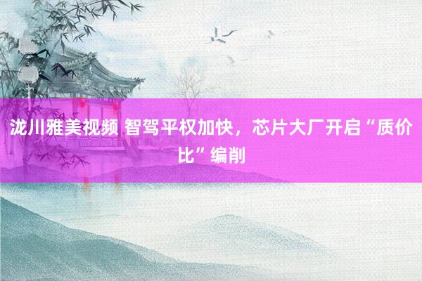 泷川雅美视频 智驾平权加快，芯片大厂开启“质价比”编削