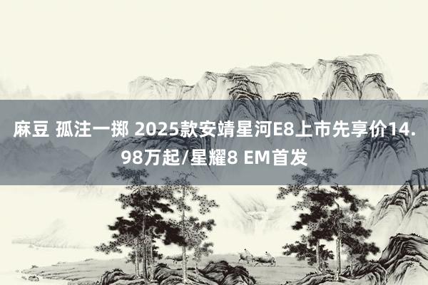 麻豆 孤注一掷 2025款安靖星河E8上市先享价14.98万起/星耀8 EM首发