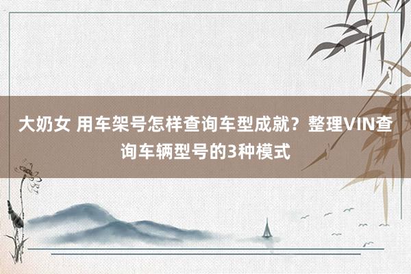 大奶女 用车架号怎样查询车型成就？整理VIN查询车辆型号的3种模式