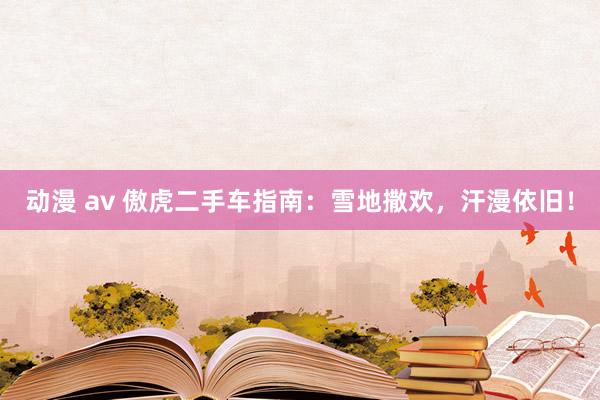 动漫 av 傲虎二手车指南：雪地撒欢，汗漫依旧！