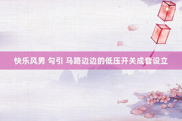 快乐风男 勾引 马路边边的低压开关成套设立