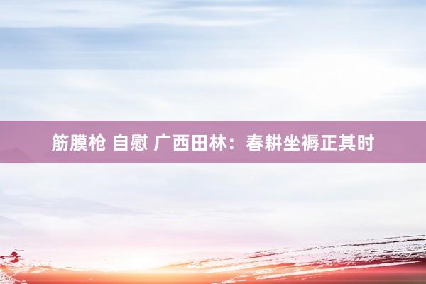 筋膜枪 自慰 广西田林：春耕坐褥正其时