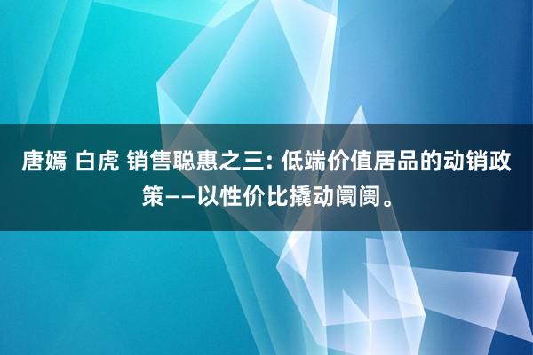 唐嫣 白虎 销售聪惠之三: 低端价值居品的动销政策——以性价比撬动阛阓。