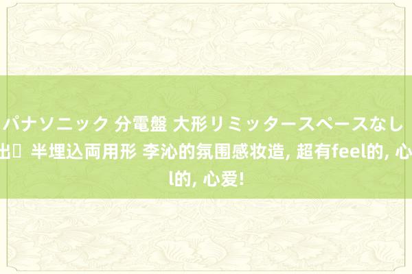 パナソニック 分電盤 大形リミッタースペースなし 露出・半埋込両用形 李沁的氛围感妆造, 超有feel的, 心爱!