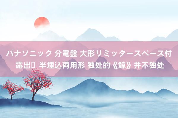 パナソニック 分電盤 大形リミッタースペース付 露出・半埋込両用形 独处的《鲸》并不独处